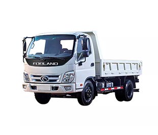 Foton Forland Truck