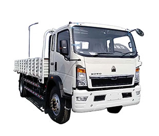 Howo Light Truck