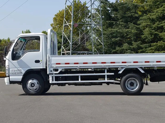 Isuzu Cargo Truck