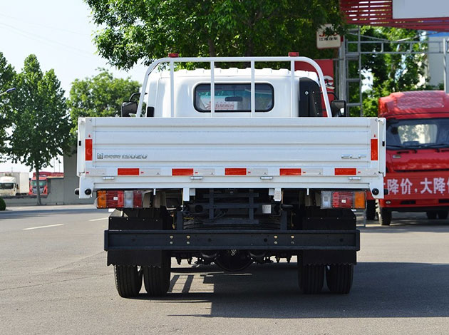 Isuzu Cargo Truck
