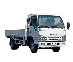 Isuzu Cargo Truck